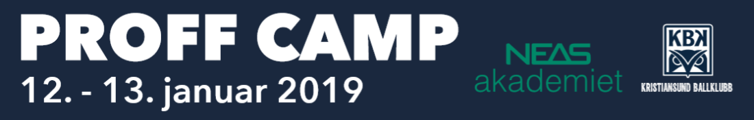 proffcampjanuar