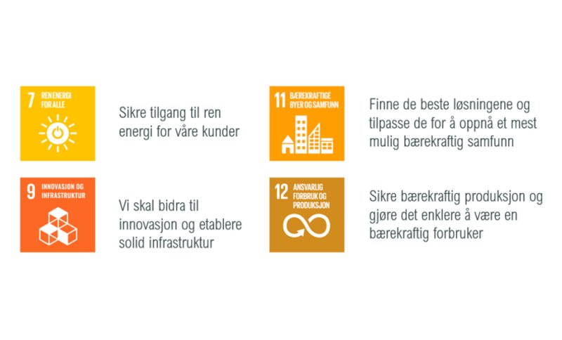 NEAS sitt hovedfokus på bærekraft vil naturlig være innenfor energi og teknologi. Samtidig vil de alltid være oppmerksom på mål nr 17, 13 og 5, som handler om samarbeid, stoppe klimaendringer og fokus på likestilling.